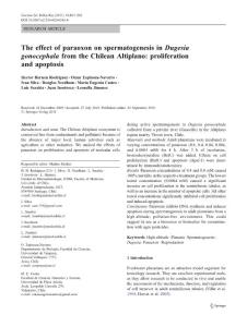The effect of paraoxon on spermatogenesis in Dugesia gonocephala from the Chilean Altiplano proliferation and apoptosis