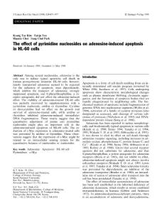 The effect of pyrimidine nucleosides on adenosine-induced apoptosis in HL-60 cells