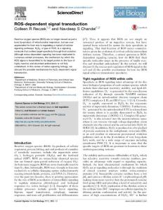 ROS-dependent signal transduction