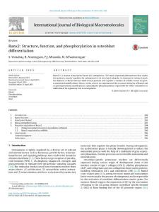 Runx2 Structure, function, and phosphorylation in osteoblast differentiation