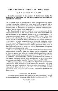 THE GERANIUM FAMILY IN PERFUMERY