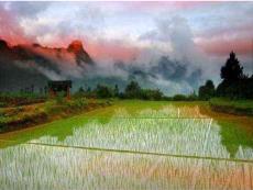 人教版物理八上4.3《汽化和液化》課件16