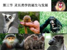 第三節  靈長類學的誕生與發展 1