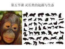第五節課 靈長類的起源與進化