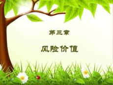 第三章 風(fēng)險價值
