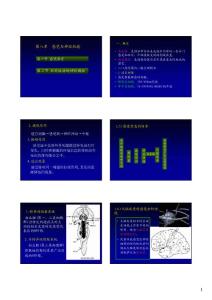 8-感觉与神经1
