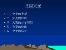 10基因突變