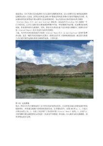 Adobe Photoshop CS5 新增功能之04 - 神奇般地內(nèi)容識(shí)別點(diǎn)修復(fù)技術(shù)