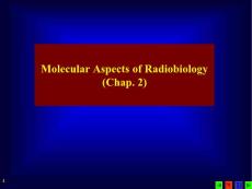 Molecular Aspects of Radiobiology