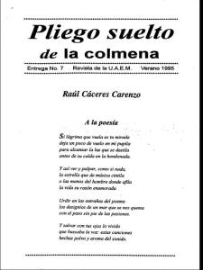 Poemas de Ra  250;l C  225;ceres Carenzo