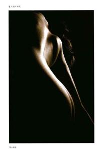 從未被超越的唯美主義