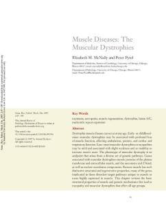 Muscle Diseases The Muscular Dystrophies