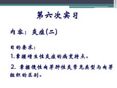 病理學(第八版)切片考試實習(炎癥2)