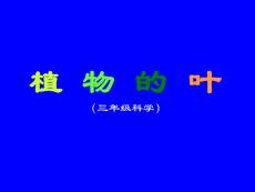 三年級(jí)科學(xué)植物的葉課件