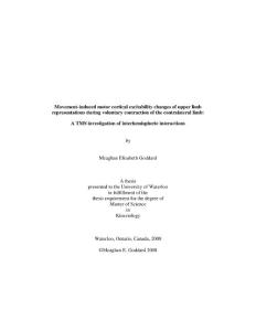 movement-induced motor cortical excitability changes of upper limb representations during voluntary contraction of the contralateral limb a tms investigation of interhemispheric interactions