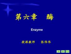 第六章酶