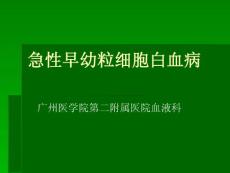 急性早幼粒细胞白血病PPT课件