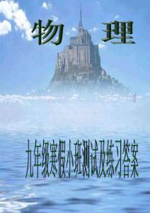 九年級(jí)物理寒假輔導(dǎo)自學(xué)9-0寒假-測(cè)試課及講義中的練習(xí)答案