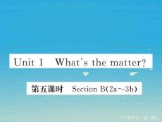【學(xué)練優(yōu)】2016-2017學(xué)年八年級(jí)英語(yǔ)下冊(cè) unit 1 what´s the matter（第5課時(shí)）課件 （新版）人教新目標(biāo)版