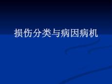 損傷的分類與病因病機