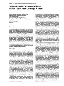 Single-Stranded Antisense siRNAs Guide Target RNA Cleavage in RNAi