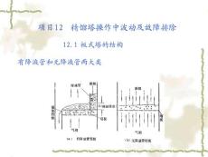 項(xiàng)目12  精餾塔操作中波動及故障排除