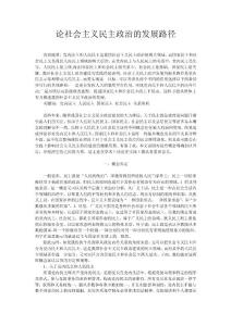 論社會主義民主政治的發展路徑