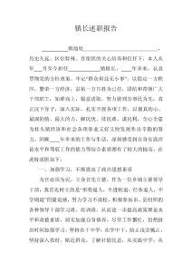 镇长述职报告