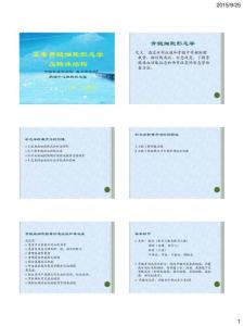 形態(tài)學(xué)基礎(chǔ)