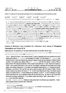 利用中间偃麦草抗病基因同源序列分离黄矮病抗性候选基因克隆
