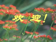 落花生 PPT_中學(xué)教育-中學(xué)課件