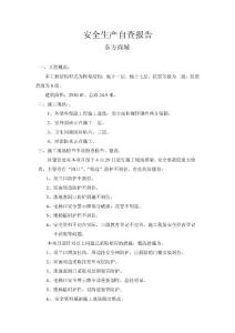 安全生產自查報告