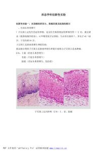 形态学科创新性实验