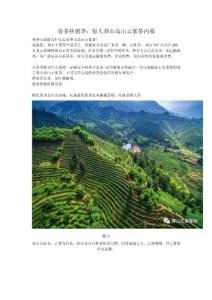 春茶熱銷季：驚人莽山高山云霧茶內(nèi)幕（莽山左舍客棧）