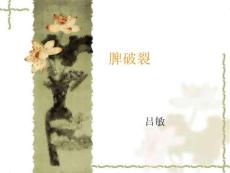 脾破裂ppt模板
