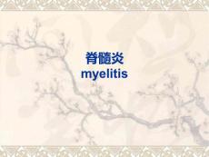 急性脊髓炎课件