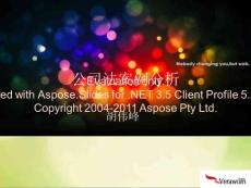 公司法案例分析 創新2012