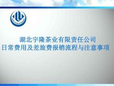 《費用報銷PPT》方案