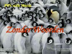 國家地理雜志精華