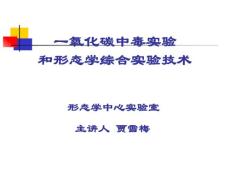 一氧化碳中毒实验