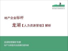 人力資源管理解析.ppt