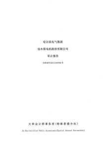 佳電股份：2018年年度審計(jì)報(bào)告.pdf