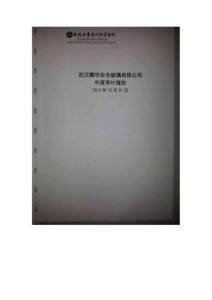 武漢耀華安全玻璃有限公司2018年度審計(jì)報(bào)告.pdf