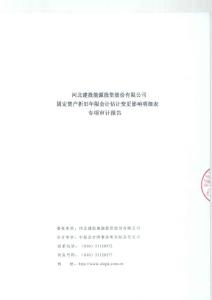 關于公司固定資產折舊年限會計估計變更影響明細表之專項審計報告.pdf