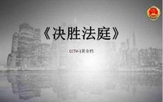 《决胜法庭》项目方案2017 5（B）