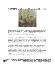 Quandong Adaptations and Interrelationships Poster