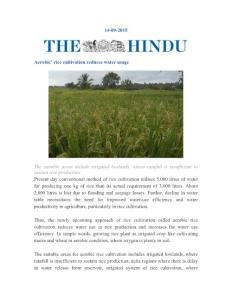 14-09-2015 Aerobic’ rice cultivation reduces water …