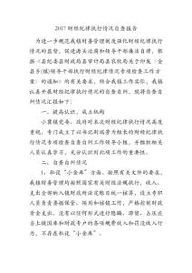 2017財經(jīng)紀(jì)律執(zhí)行情況自查報告
