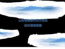 山東曹縣盛世東方項目初步營銷思路