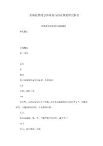 龍城花梨灣總體策劃與商業(yè)規(guī)劃研究報(bào)告